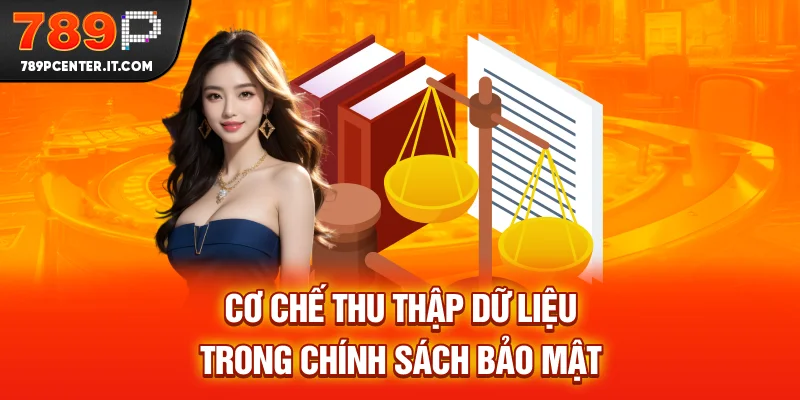 Cơ chế thu thập dữ liệu trong chính sách bảo mật