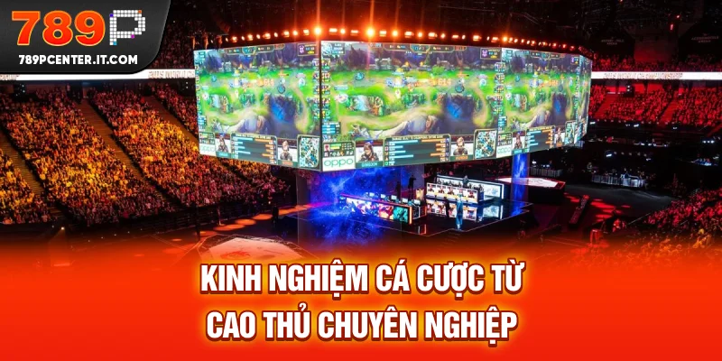 Kinh nghiệm cá cược Esport 789P từ cao thủ chuyên nghiệp